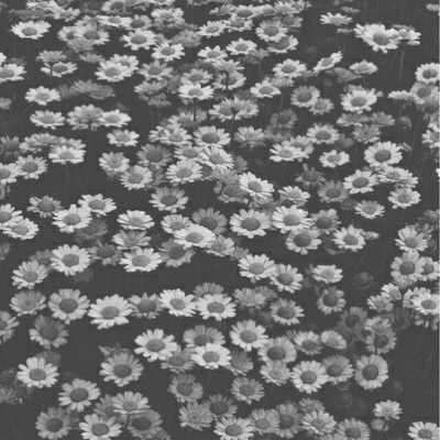 Profile avatar image for seventeen