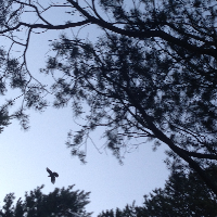 Profile avatar image for sophieork