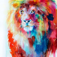 Profile avatar image for robinTHEleo