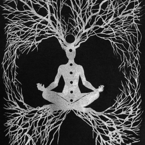 Profile avatar image for AptStatic