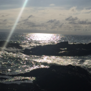 Profile avatar image for alex6