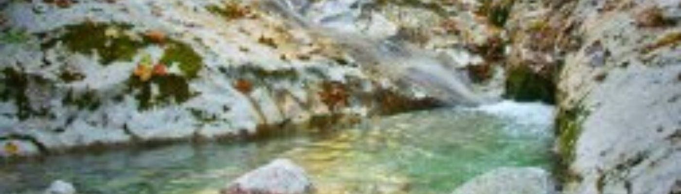 Profile banner image for Bretticus82