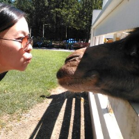 Profile avatar image for mng168