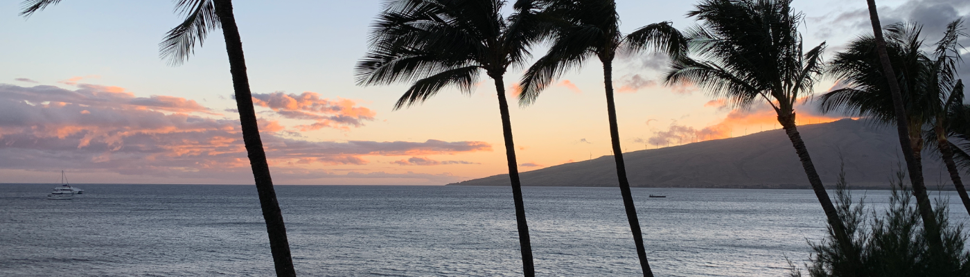Profile banner image for MauiSunsets