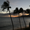 Profile avatar image for MauiSunsets