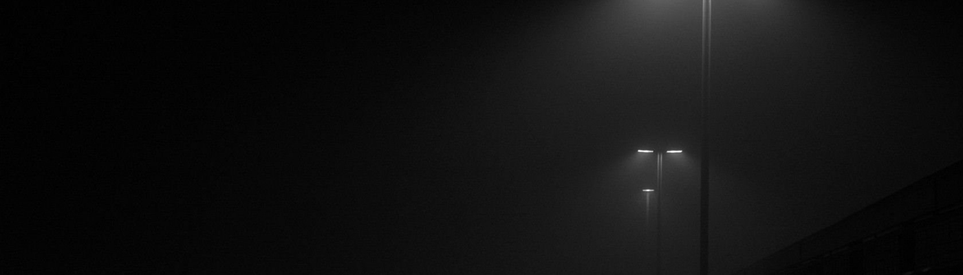 Profile banner image for Bird_Watcher