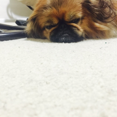 Profile avatar image for recharge