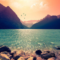 Profile avatar image for lethewards