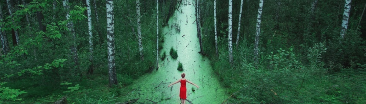 Profile banner image for BloodforInk