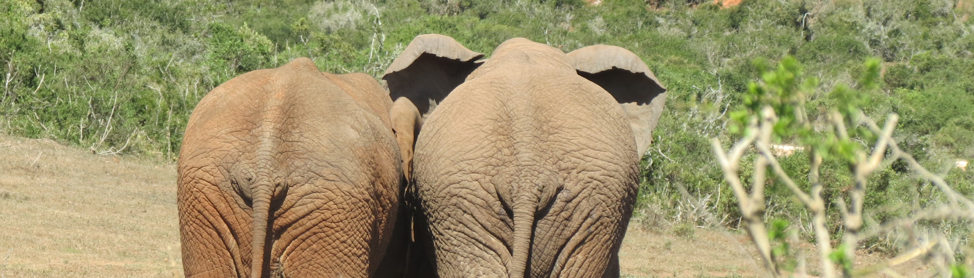 Profile banner image for HannahPutzier