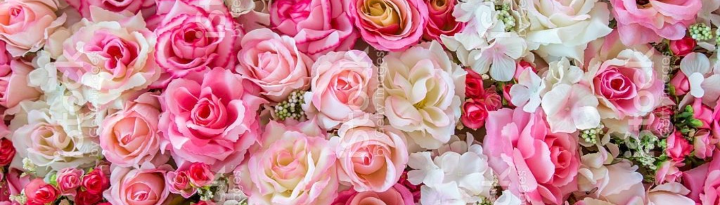 Profile banner image for Asta