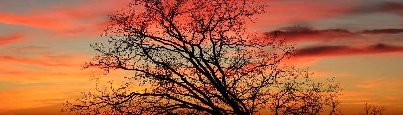 Profile banner image for JSevenz