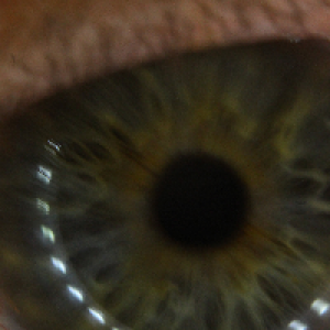 Profile avatar image for JSevenz