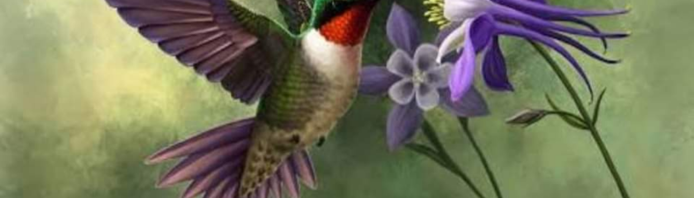 Profile banner image for RickD