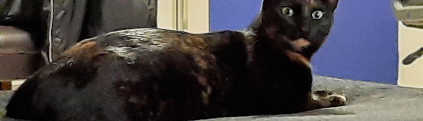 Profile banner image for Harry_Situation