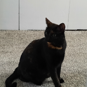 Profile avatar image for Harry_Situation