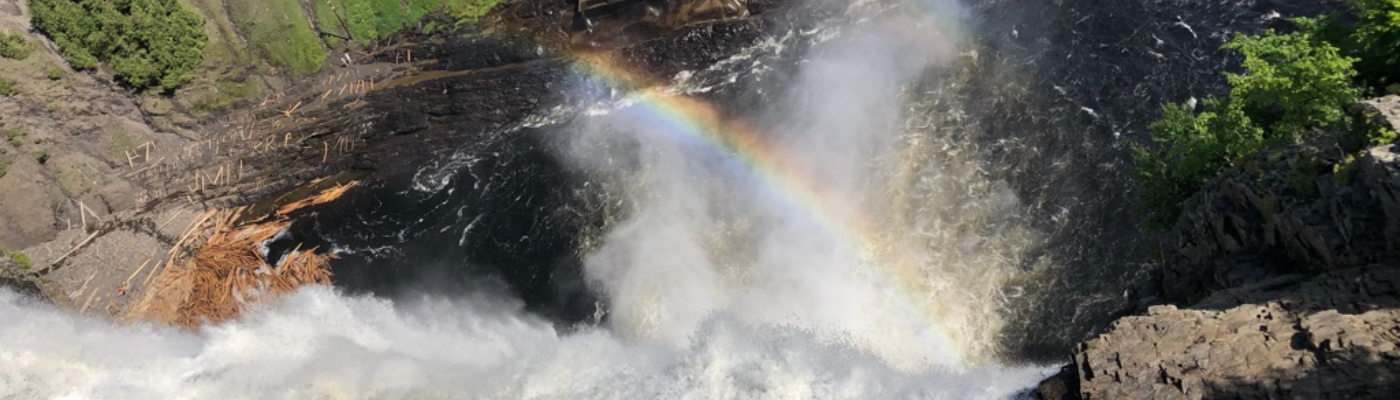 Profile banner image for shaynabryer