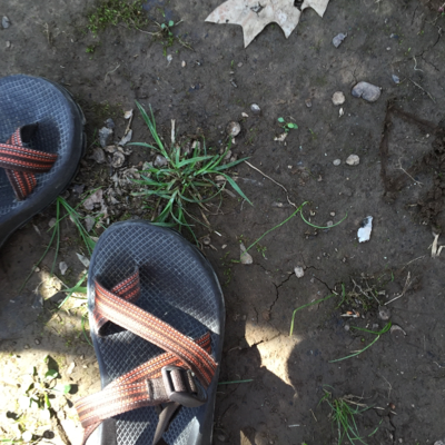 Profile avatar image for Vandiver