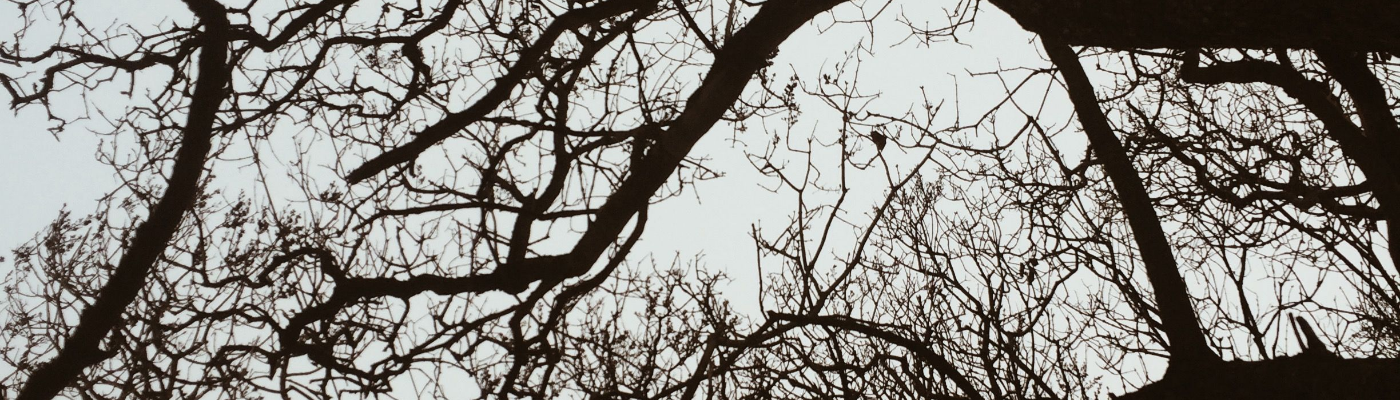 Profile banner image for sundaybests