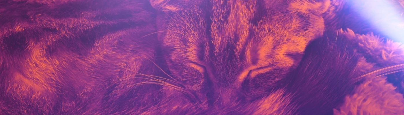 Profile banner image for Sparkz79