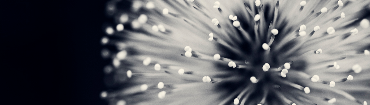 Profile banner image for tinaanne06