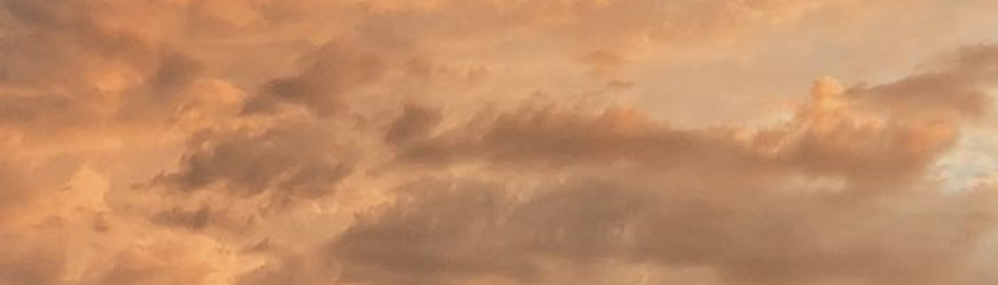 Profile banner image for tendertragedies