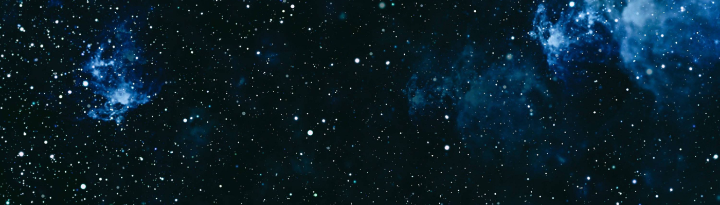 Profile banner image for WildWisher