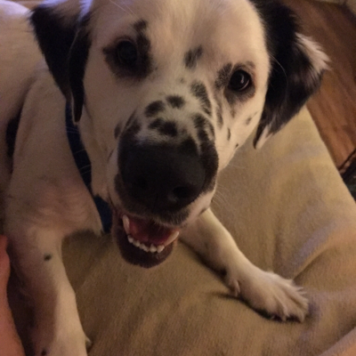 Profile avatar image for troywhisman