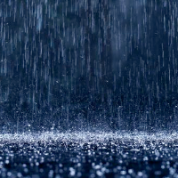 Profile avatar image for Vivacissimo