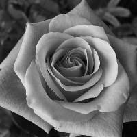 Profile avatar image for OnlyOne