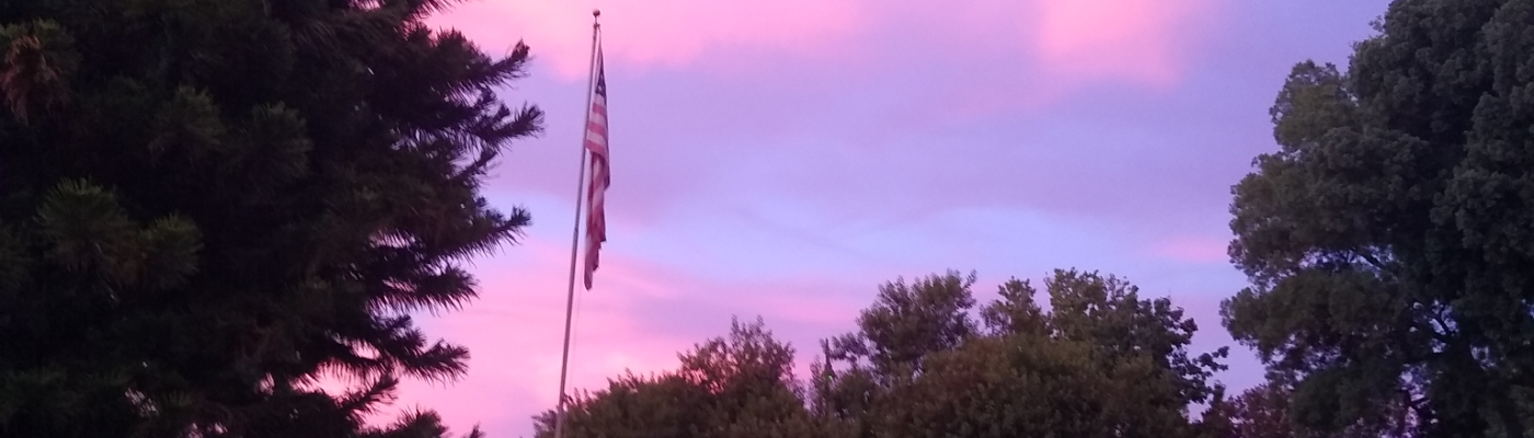 Profile banner image for VannahLea