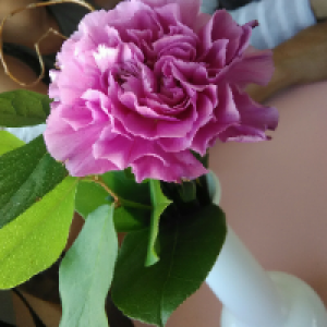 Profile avatar image for VannahLea