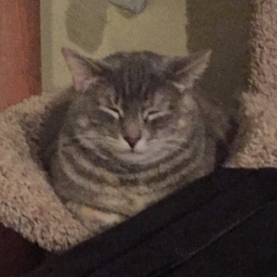 Profile avatar image for melanielizabeth