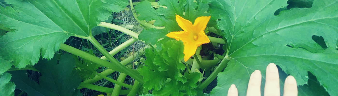 Profile banner image for LeighisAezar