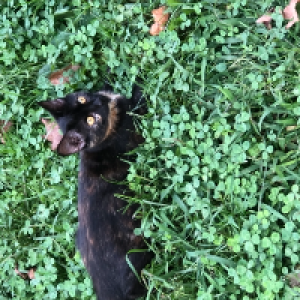 Profile avatar image for Gray364