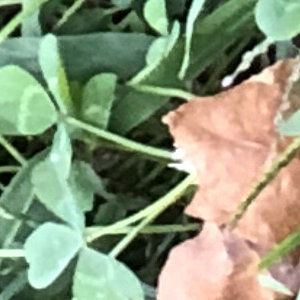 Profile avatar image for Gray1615