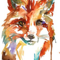 Profile avatar image for Callie