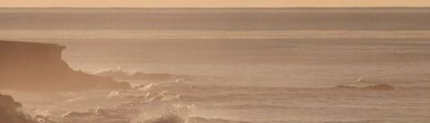 Profile banner image for OpheliaRose