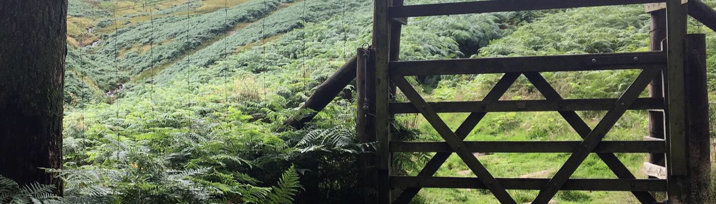 Profile banner image for Shewfelt