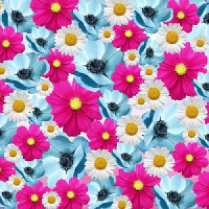 Profile avatar image for dfkg