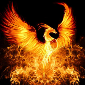 Profile avatar image for __Phoenix__