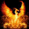 Profile avatar image for __Phoenix__