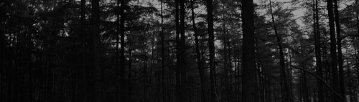 Profile banner image for Snitch