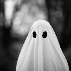 Profile avatar image for Snitch