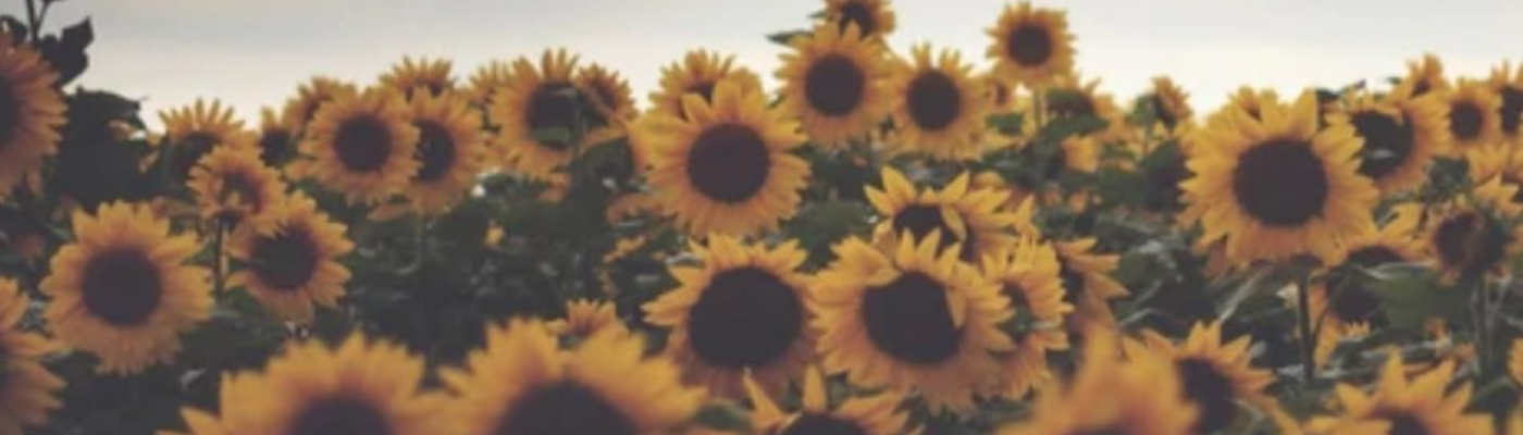 Profile banner image for LoveSheWrote