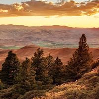 Profile avatar image for SnowCastle