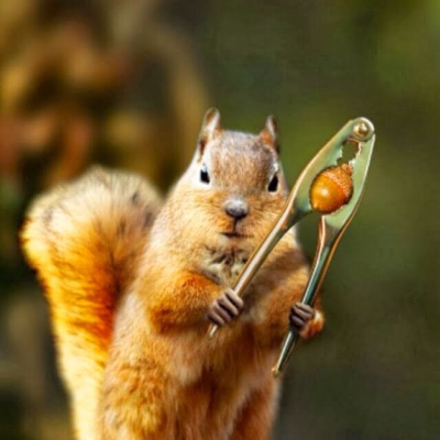 Profile avatar image for NoPurpleGuys