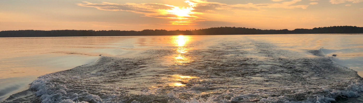 Profile banner image for Sallyjane