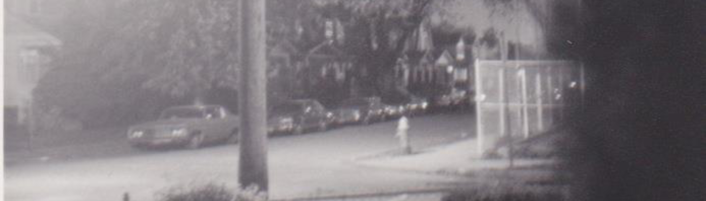 Profile banner image for Banalogy