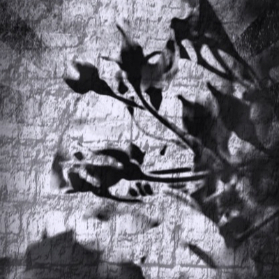 Profile avatar image for Poetry_is_Death